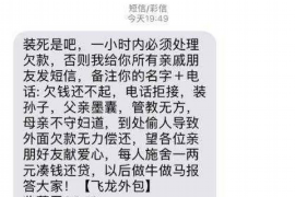 缙云缙云的要账公司在催收过程中的策略和技巧有哪些？